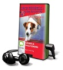 Jack_Russell__dog_detective