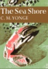 The_sea_shore