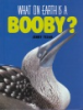 What_on_earth_is_a_booby_