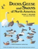 Ducks__geese___swans_of_North_America