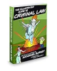 The_illustrated_guide_to_criminal_law