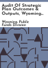 Audit_of_strategic_plan_outcomes___outputs__Wyoming_Retirement_System