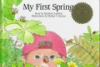My_first_spring