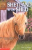 Shetland_in_the_shed
