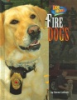 Fire_dogs