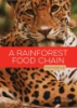 A_rainforest_food_chain