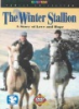 The_winter_stallion