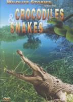 Crocodiles___snakes