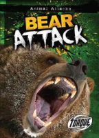 Bear_attack