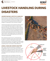 Livestock_handling_during_disasters