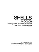 Shells_in_color